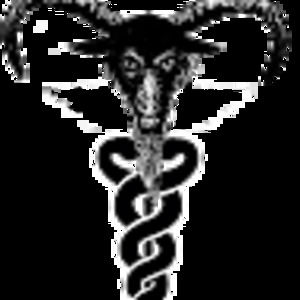 Meet your Posher, Estelle